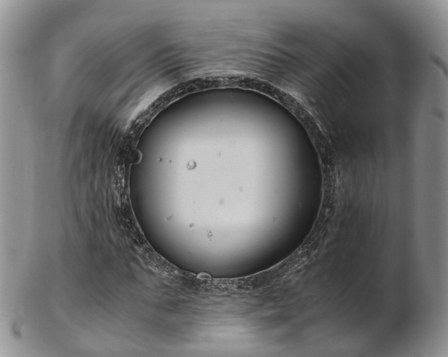 X0000102840871200808251153