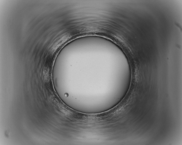 X0000102840873200808251153