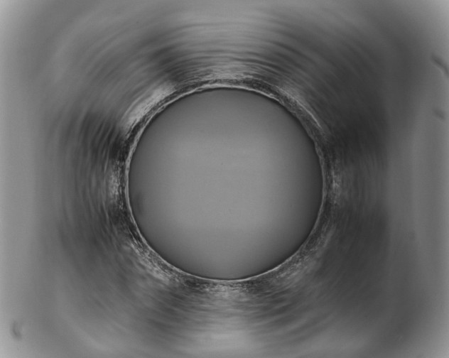 X0000102840874200808251153