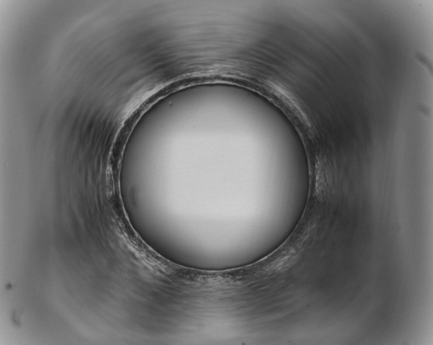 X0000102840876200808251153