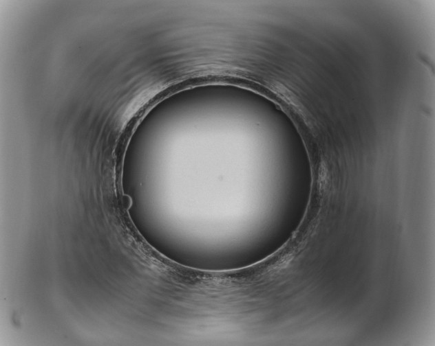 X0000102840877200808251153