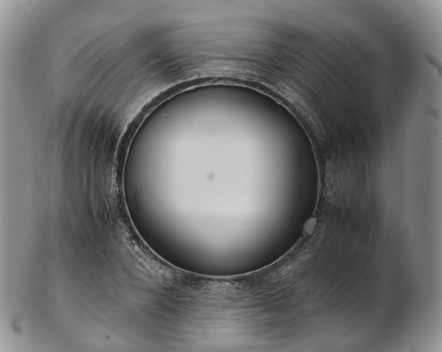 X0000102840880200808251153