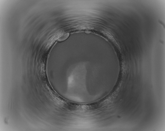 X0000102840881200808251153