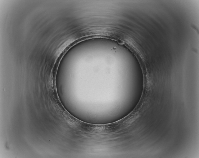 X0000102840883200808251153