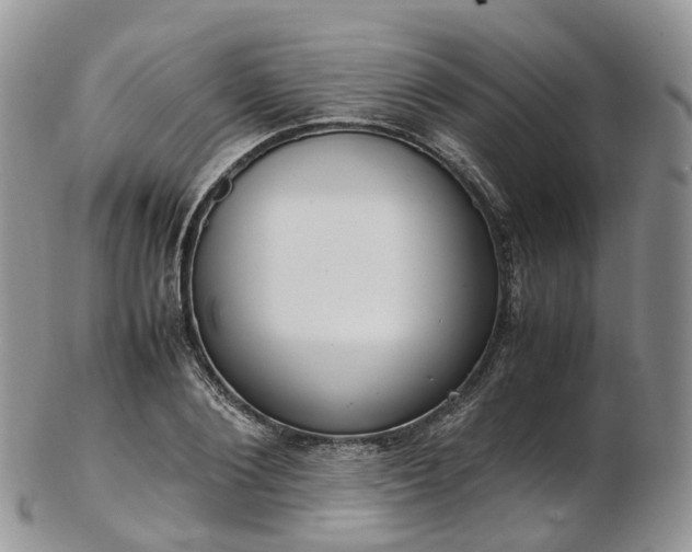 X0000102840884200808251153