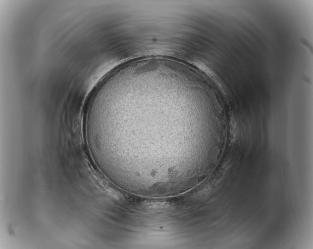 X0000102840886200808251153