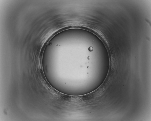 X0000102840887200808251153