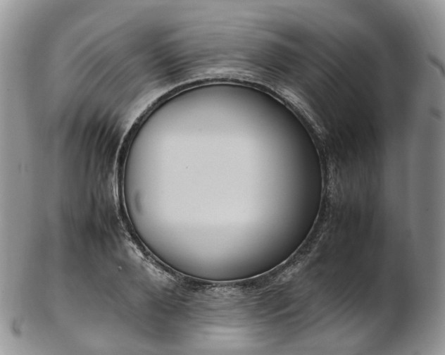 X0000102840888200808251153