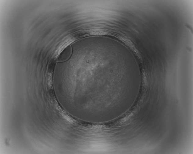 X0000102840889200808251153