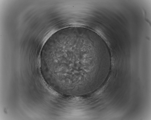 X0000102840891200808251153