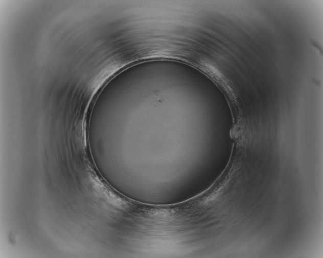 X0000102840892200808251153