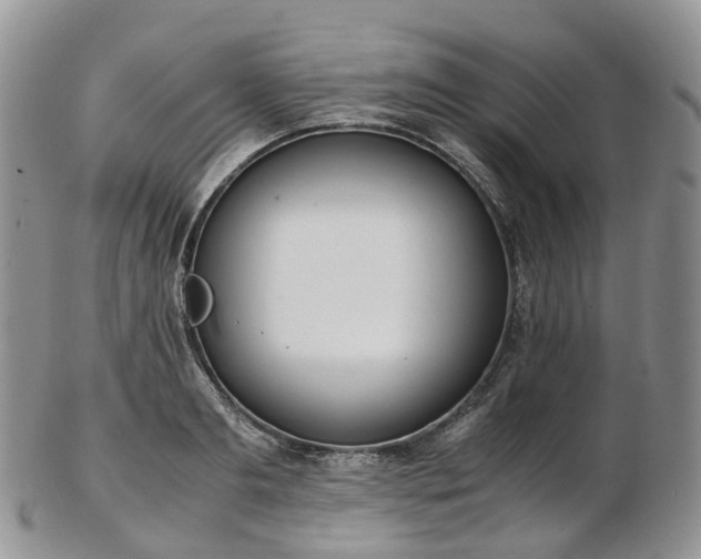 X0000102840893200808251153