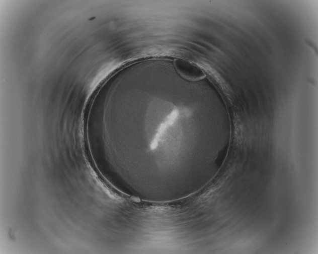 X0000102840894200808251153