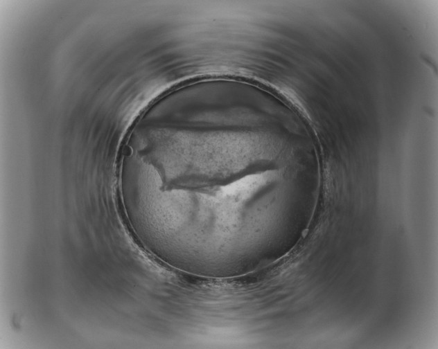 X0000102840895200808251153