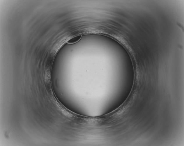 X0000102840897200808251153