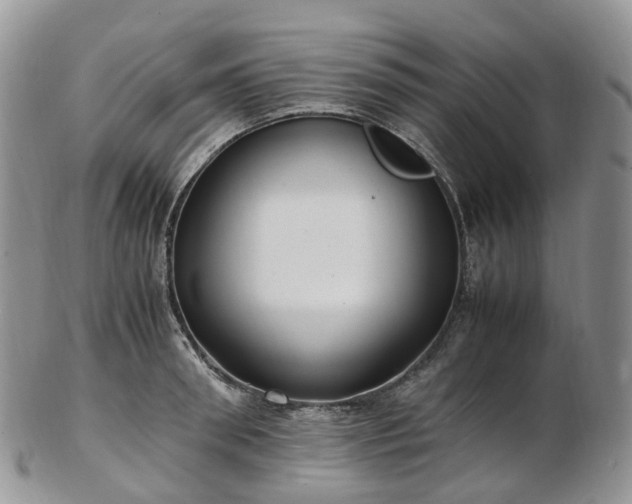 X0000102840898200808251153