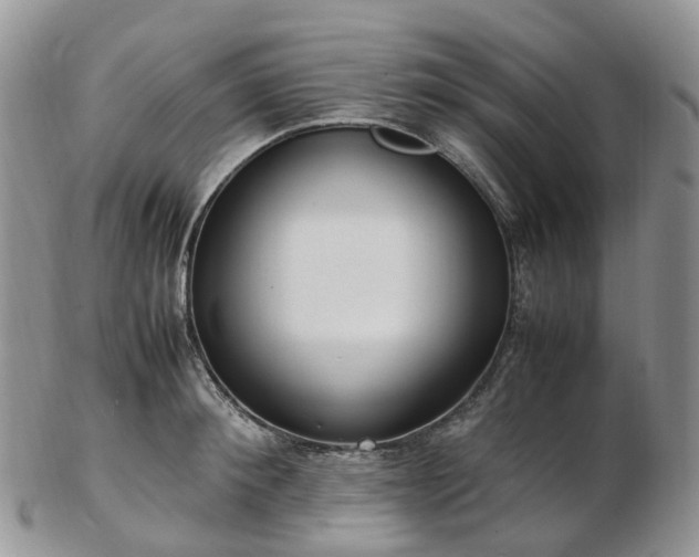 X0000102840900200808251153