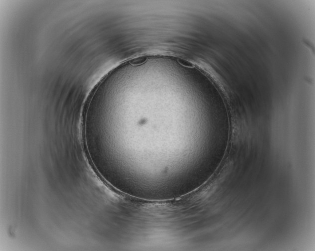 X0000102840902200808251153