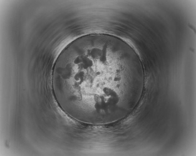 X0000102840903200808251153