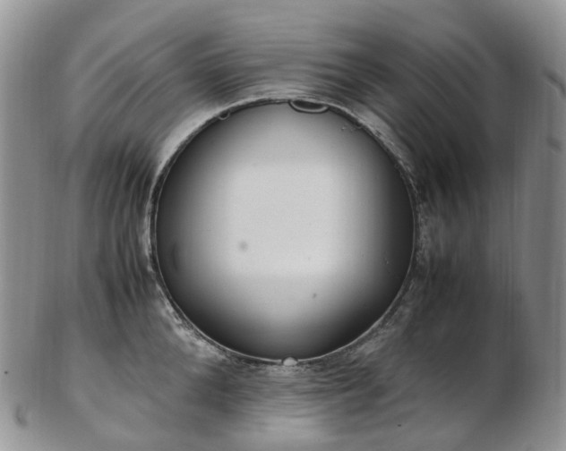 X0000102840904200808251153