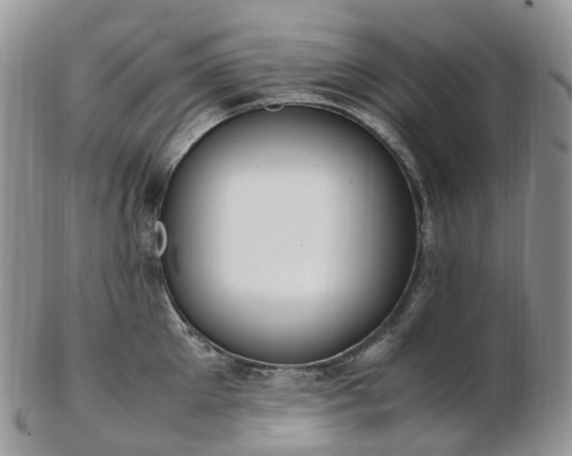 X0000102840905200808251153