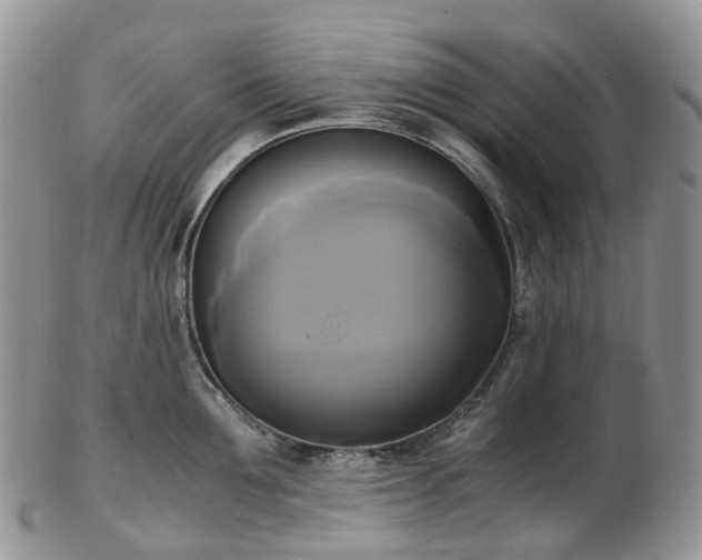 X0000102840907200808251153