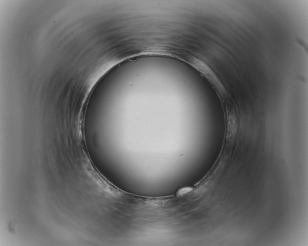 X0000102840908200808251153