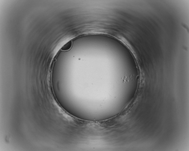 X0000102840909200808251153