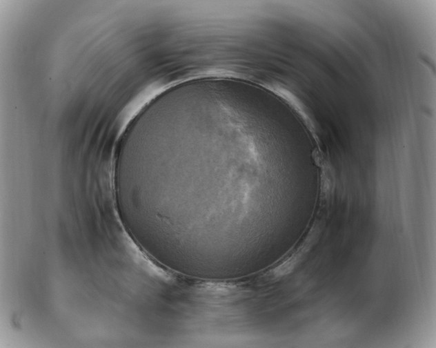 X0000102840910200808251153