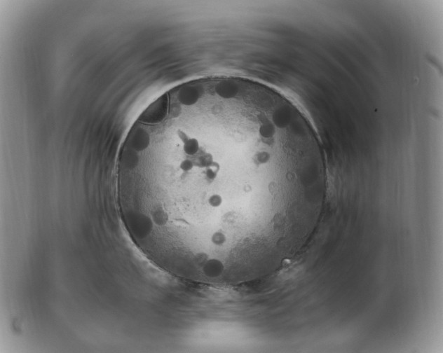 X0000102840911200808251153