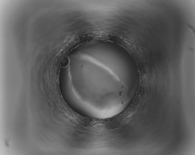 X0000102840913200808251152