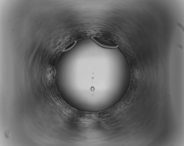 X0000102840914200808251152