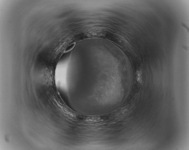 X0000102840915200808251152