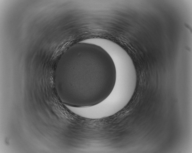 X0000102840916200808251152