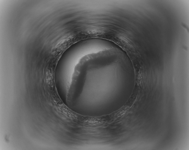 X0000102840917200808251152