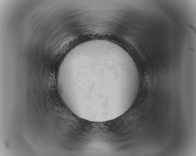 X0000102840918200808251152