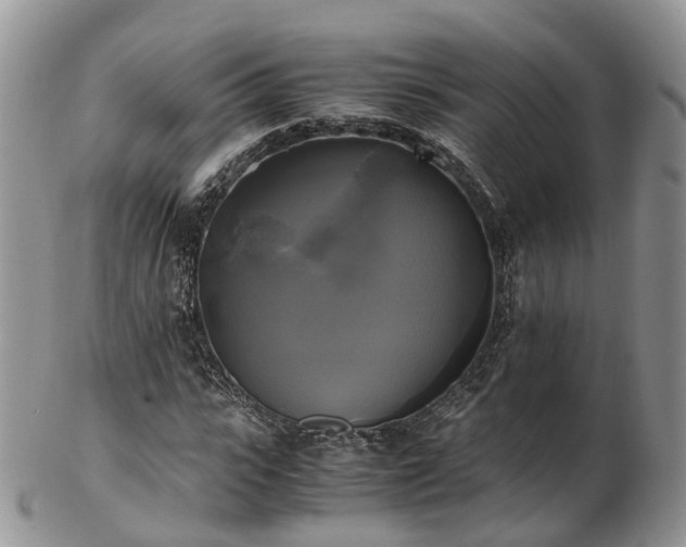 X0000102840919200808251152