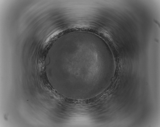 X0000102840920200808251152