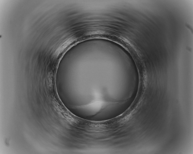 X0000102840921200808251152