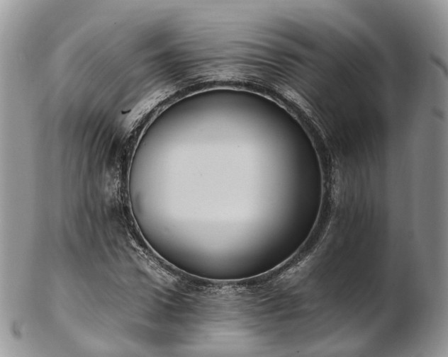 X0000102840922200808251152