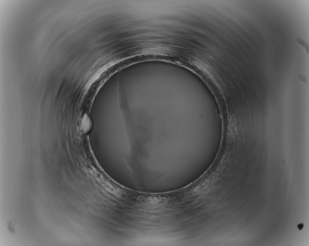 X0000102840923200808251152