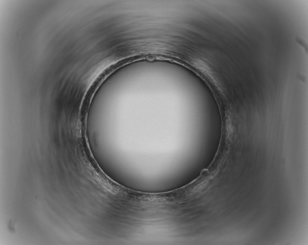 X0000102840924200808251152