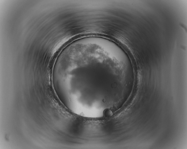 X0000102840925200808251152