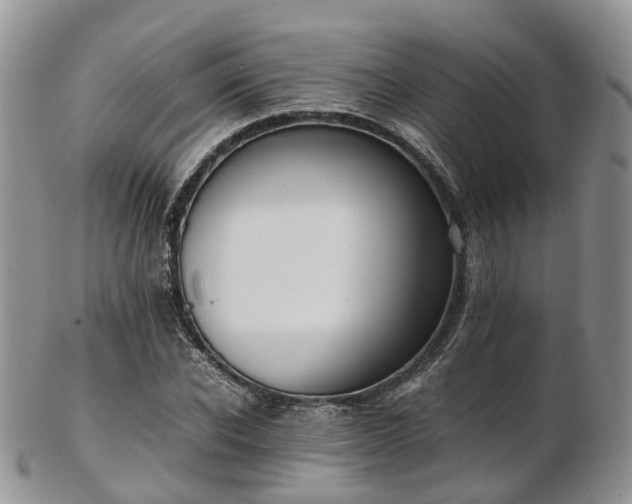 X0000102840926200808251152