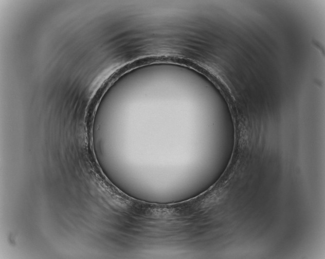 X0000102840927200808251152