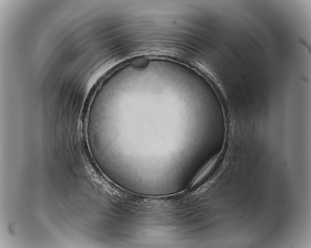 X0000102840928200808251152