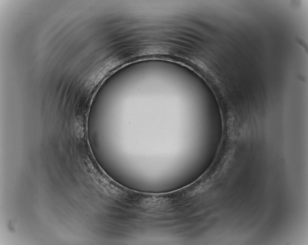 X0000102840929200808251152