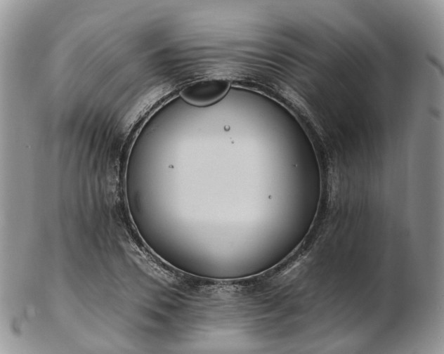 X0000102840930200808251152