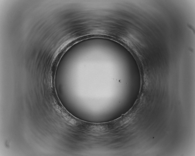 X0000102840931200808251152