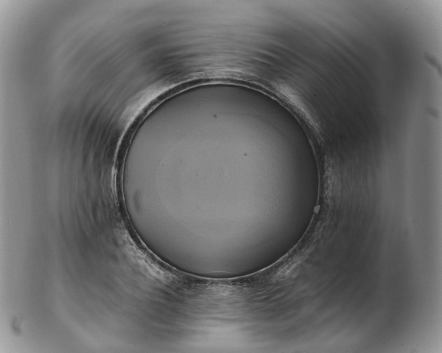 X0000102840932200808251152